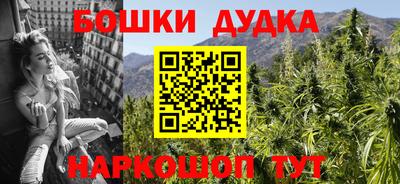 стафф Гатчина