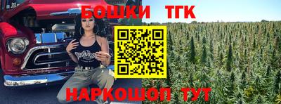 стафф Гатчина