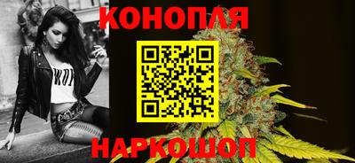 стафф Гатчина