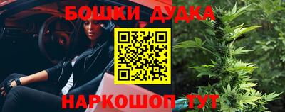 стафф Гатчина