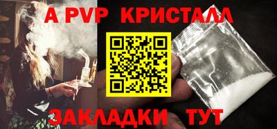 стафф Гатчина