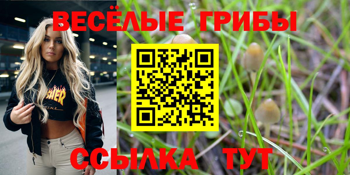 Псилоцибиновые грибы ЛСД Десногорск